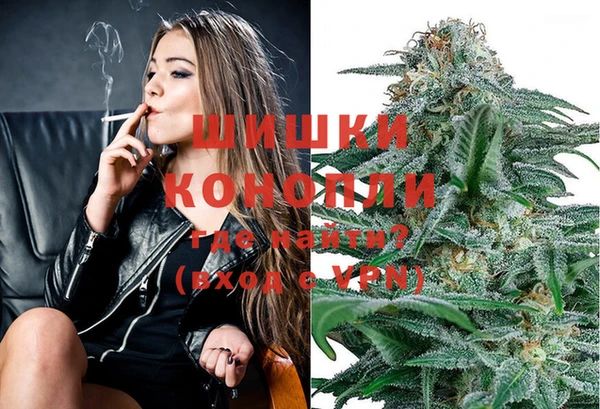 кокс Касимов