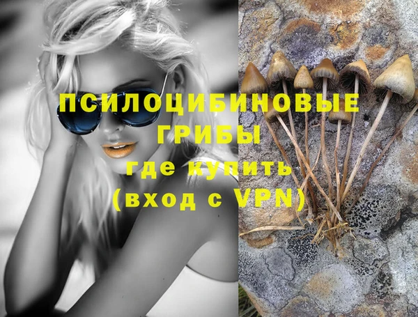 кокс Касимов