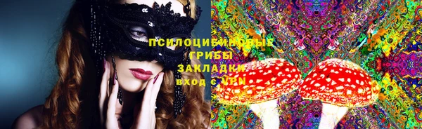 бошки Карпинск