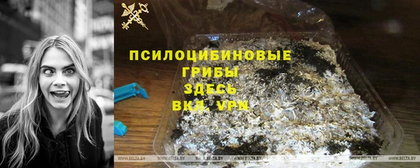 PSILOCYBIN Карталы