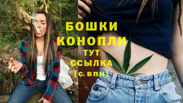 PSILOCYBIN Карталы