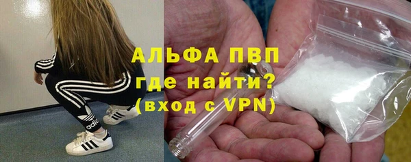 PSILOCYBIN Карталы