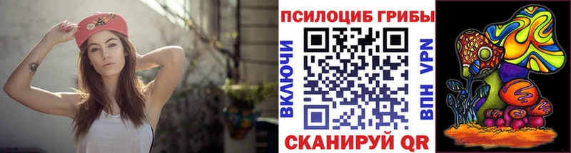 Купить где  Долинск  Псилоцибиновые грибы прущие грибы 
